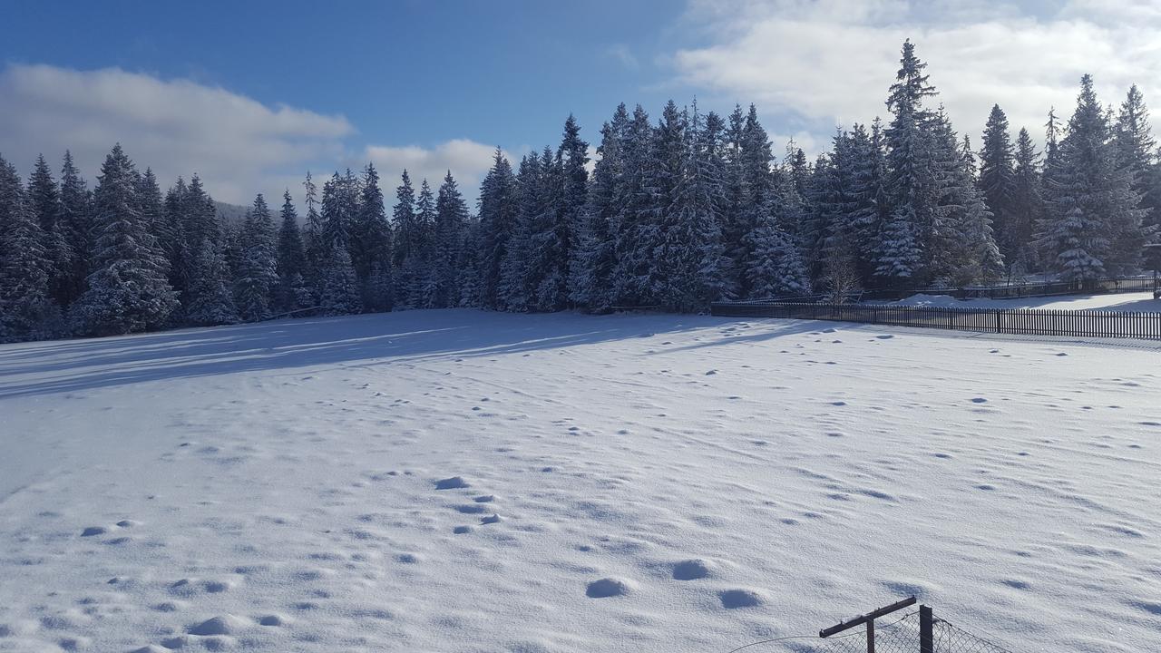 Lesne Zacisze Bed & Breakfast Murzasichle Exterior foto