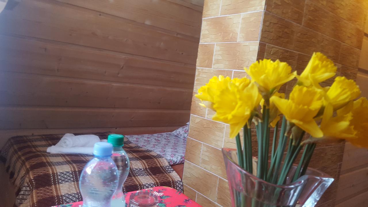 Lesne Zacisze Bed & Breakfast Murzasichle Exterior foto